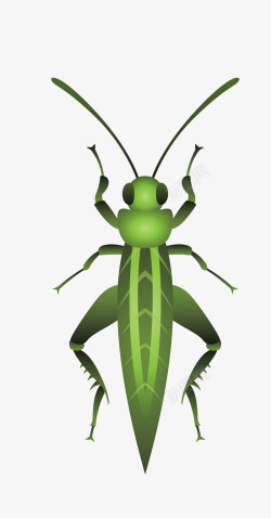 长触角绿色长触角昆虫高清图片