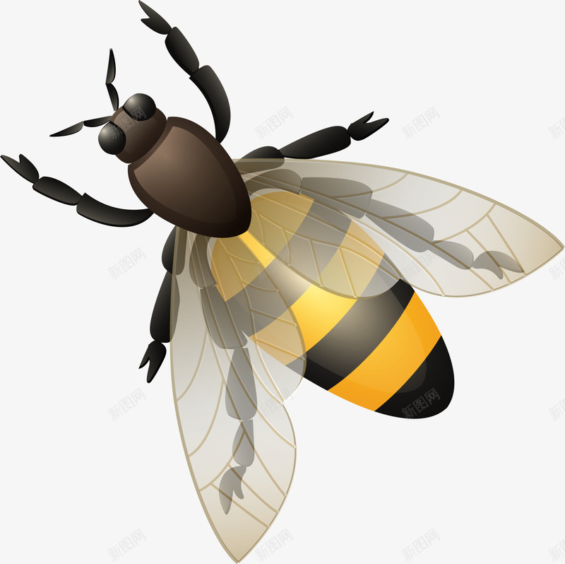 卡通可爱黄色蜜蜂png免抠素材_新图网 https://ixintu.com 卡通蜜蜂 可爱蜜蜂 昆虫 灰色翅膀 童趣 黄色蜜蜂