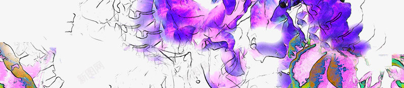 创意线描紫色花卉png免抠素材_新图网 https://ixintu.com 创意设计 手绘 紫色花卉 线描花卉 花卉背景 花卉装饰