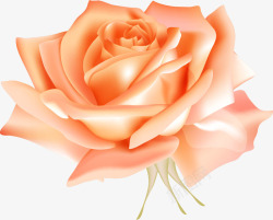 创意手绘质感橘色的玫瑰花素材