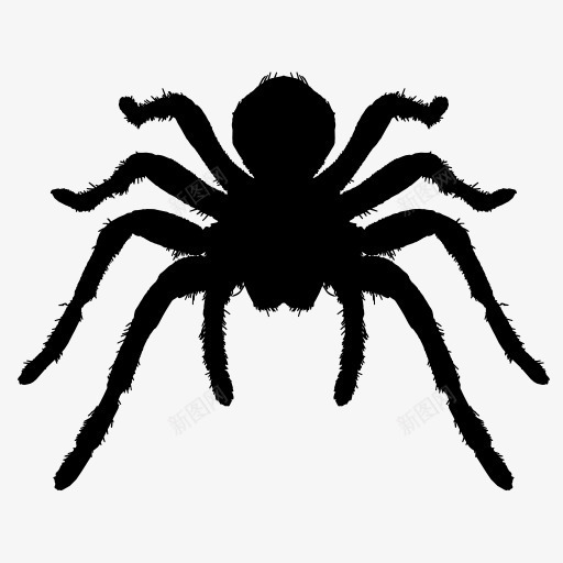 蜘蛛剪影图标png_新图网 https://ixintu.com 动物 投影 昆虫 黑色剪影