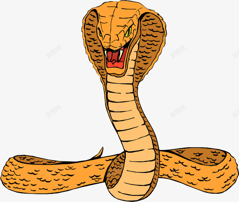 眼镜蛇png免抠素材_新图网 https://ixintu.com 毒蛇 眼镜蛇 蛇