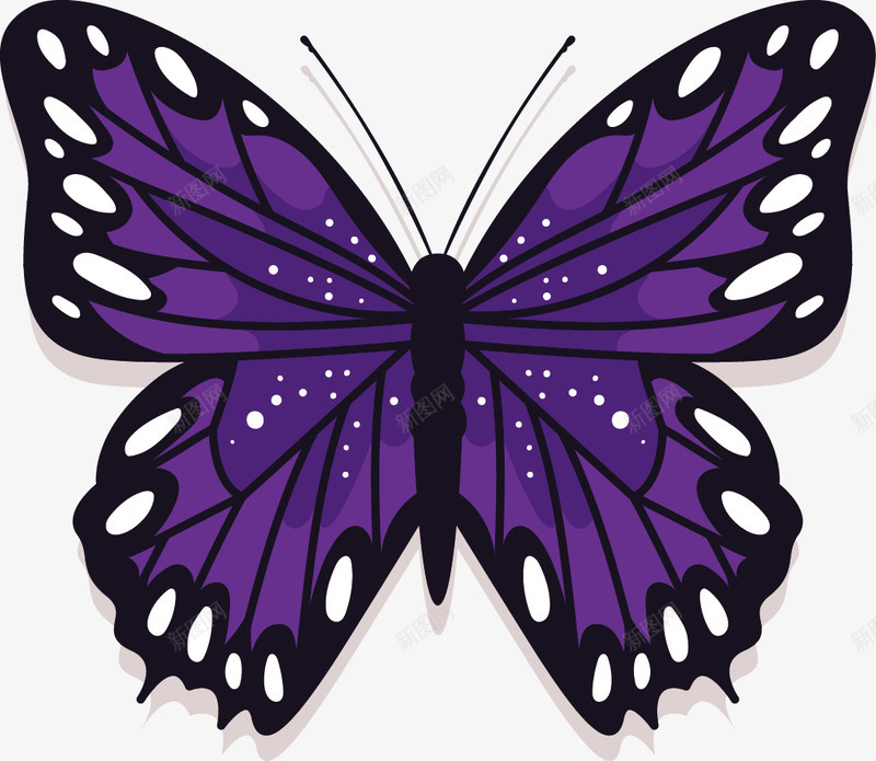 紫色的蝴蝶png免抠素材_新图网 https://ixintu.com PNG素材 昆虫 紫色 蝴蝶