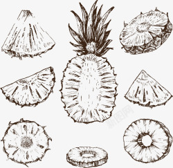 菠萝的多种切法素材
