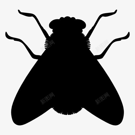 苍蝇剪影图标png_新图网 https://ixintu.com 动物 投影 昆虫 死苍蝇 黑色剪影