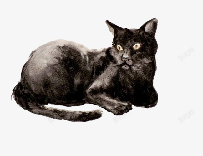黑色猫咪png免抠素材_新图网 https://ixintu.com 动物 宠物 猫咪 黑色