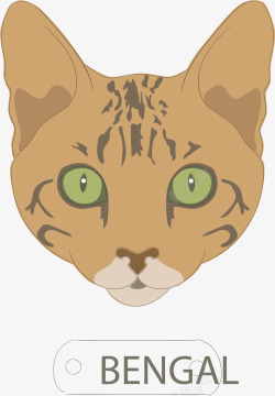 绿色斑纹棕色猫咪矢量图高清图片