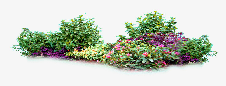 绿色植物花朵园林装饰png免抠素材_新图网 https://ixintu.com 园林 绿色植物 花朵 装饰