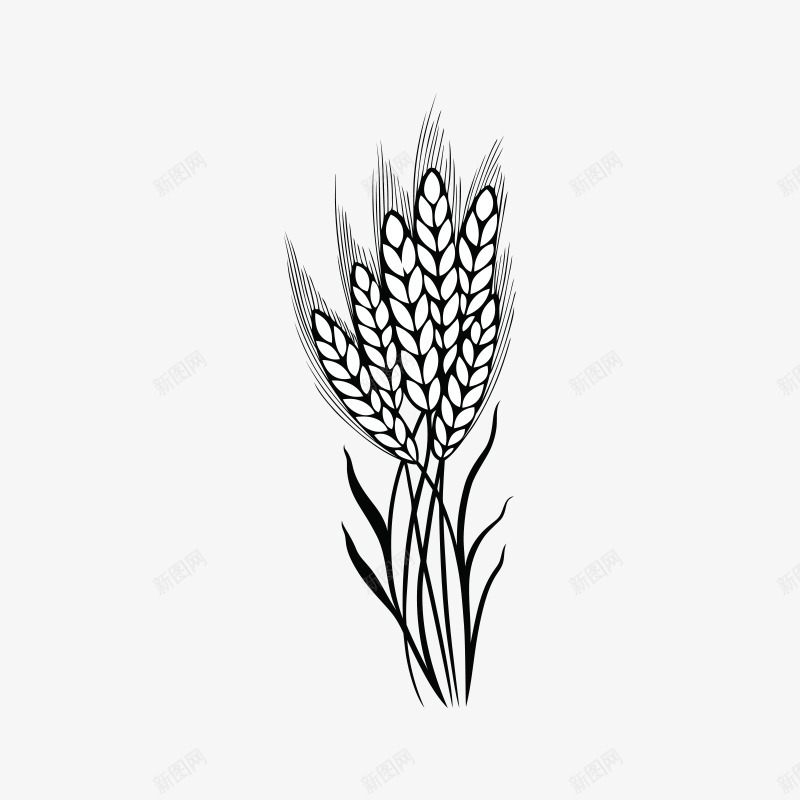 小麦图标png_新图网 https://ixintu.com 剪影 卡通小麦 小麦 插画 麦子 麦穗 黑色