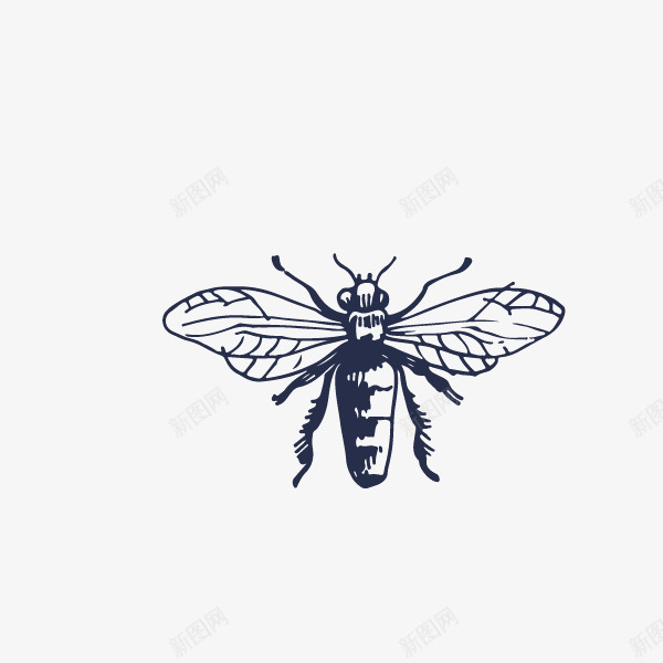 蚊子动物昆虫单色黑色png免抠素材_新图网 https://ixintu.com 动物昆虫 单色 蚊子 黑色