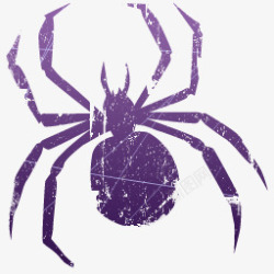 紫色蜘蛛紫色的蜘蛛高清图片