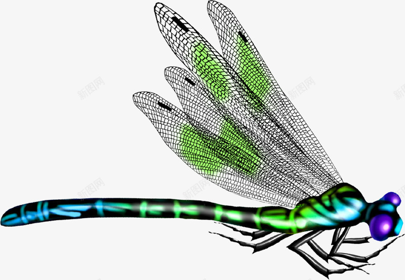 绿色蜻蜓png免抠素材_新图网 https://ixintu.com 动物 昆虫 绿色 蜻蜓