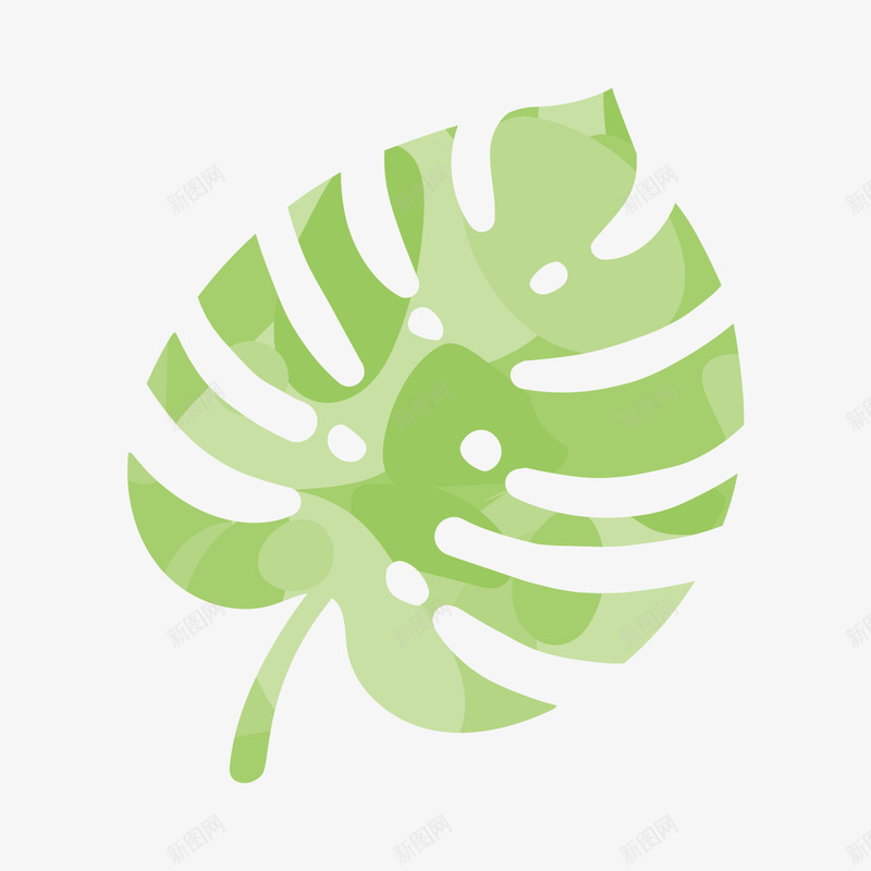 热带植物叶子png免抠素材_新图网 https://ixintu.com 卡通植物 小清新 热带植物 绿色叶子 背景装饰