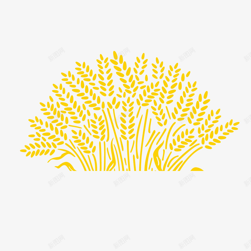 成熟小麦粮食农产品图标矢量图ai_新图网 https://ixintu.com 农产品 图标 小麦 成熟 粮食 麦穗 黄色 矢量图