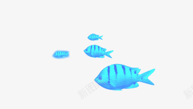 热带鱼png免抠素材_新图网 https://ixintu.com 海元素 漂浮 热带鱼 素材 蓝色鱼 鱼