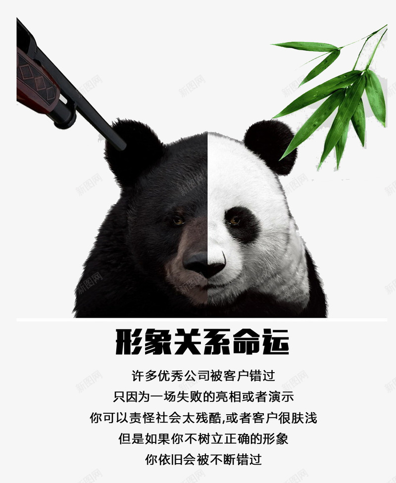 形象关系命运png免抠素材_新图网 https://ixintu.com 形象关系命运 熊 熊猫 猎杀