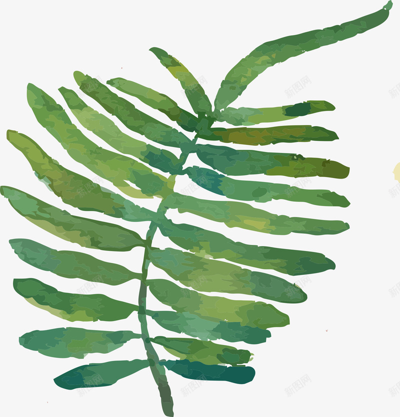 绿色蕨类植物矢量图eps免抠素材_新图网 https://ixintu.com 免抠绿色植物 手绘 植物 绿色 蕨类 矢量图