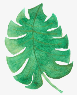 水彩绿色椰树叶子图素材