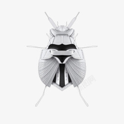 运动昆虫视觉艺术素材