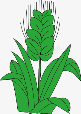 绿色卡通麦穗谷物图标图标