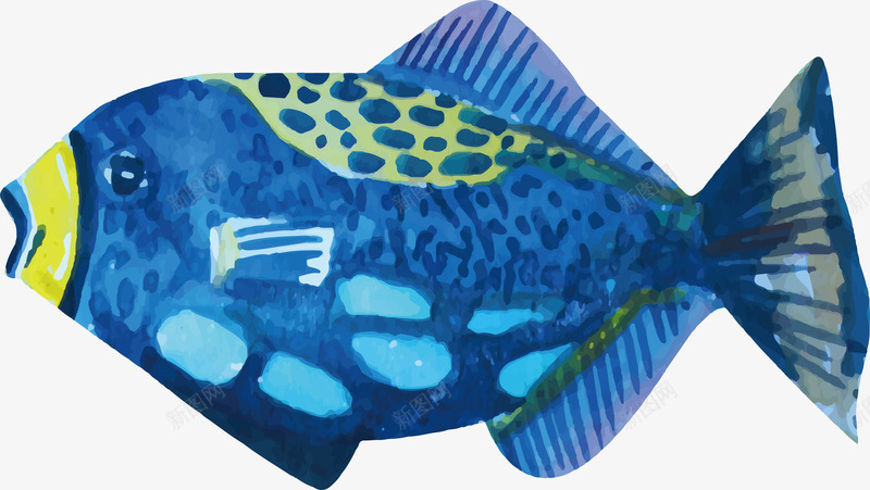 蓝色热带鱼png免抠素材_新图网 https://ixintu.com 动物 热带鱼 矢量素材 蓝色
