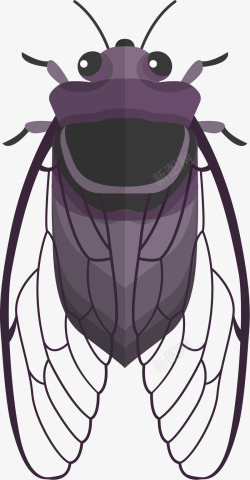 紫色大型变异昆虫素材