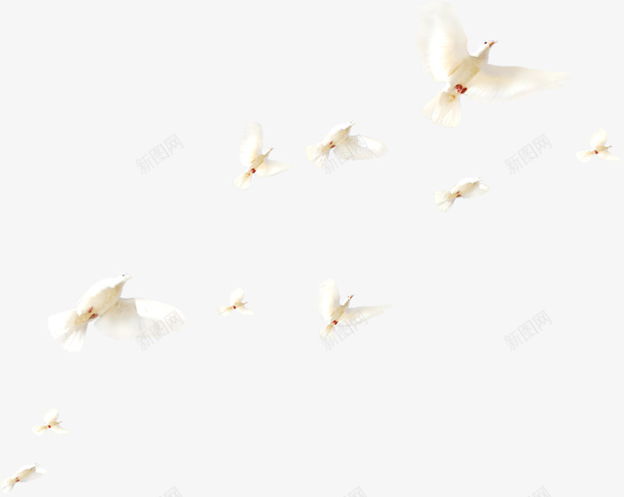 创意合成白色的海边鸽子造型png免抠素材_新图网 https://ixintu.com 创意 合成 海边 白色 造型 鸽子