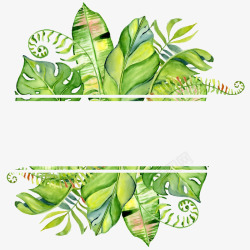 手绘绿色植物叶子边框素材