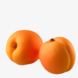 黄色杏子素材