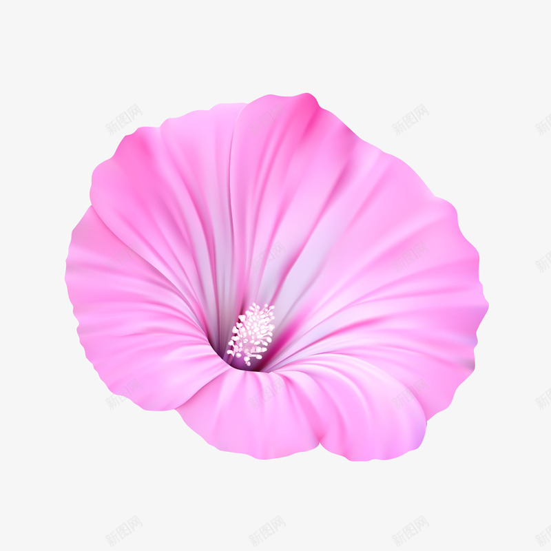 红色花朵png免抠素材_新图网 https://ixintu.com 喇叭花 红色 花朵