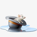 pool动物起首淡帽子鼠标池大鼠苏里斯高清图片