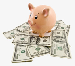 万能的金钱理财小猪的美元纸币实素材