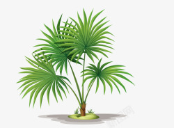 绿色的热带植物装饰素材