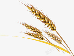 扁平手绘金黄色的麦穗小麦素材