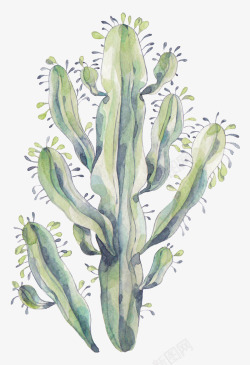 海生植物水彩绿色海草图案高清图片