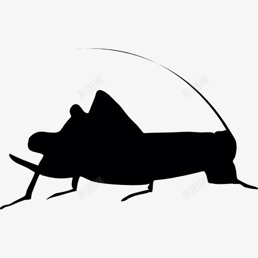 板球图标png_新图网 https://ixintu.com 剪影 动物 昆虫 蟋蟀 蟋蟀的轮廓 黑色剪影