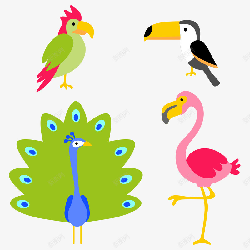 热带动物png免抠素材_新图网 https://ixintu.com 卡通动物 孔雀 小鸟 热带动物 鸟儿 鸵鸟