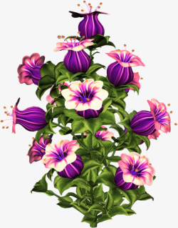 紫色喇叭花素材