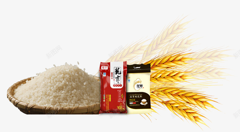 大米小麦大麦稻谷png免抠素材_新图网 https://ixintu.com 大米 大麦 小麦 稻谷