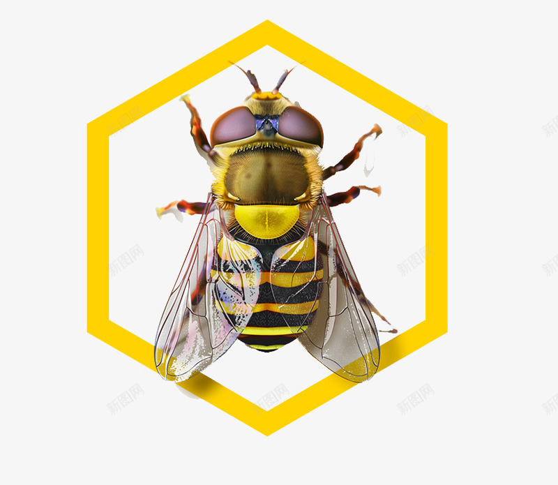 小蜜蜂图案png免抠素材_新图网 https://ixintu.com 小虫 小蜜蜂 昆虫 绘画 黄色