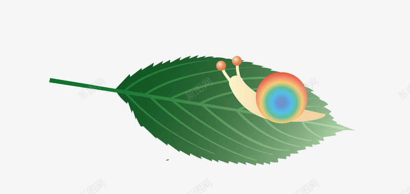 爬在叶子上的蜗牛png免抠素材_新图网 https://ixintu.com 动物 卡通蜗牛 叶子 手绘 昆虫 植物 蜗牛