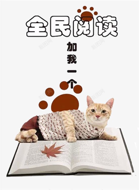 猫咪的阅读png免抠素材_新图网 https://ixintu.com 传播 全民阅读 延伸性 热爱 知识