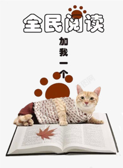 延伸性猫咪的阅读高清图片