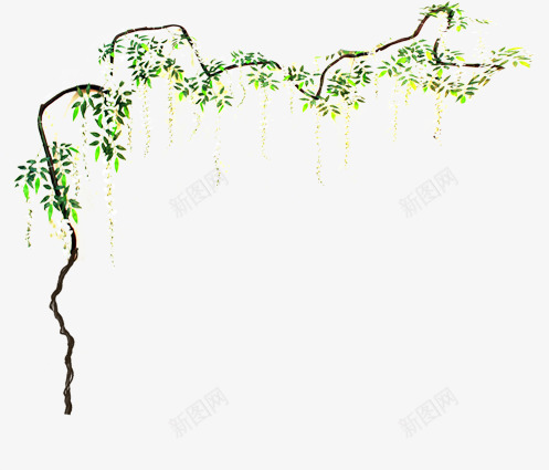 创意合成植物效果造型婚礼png免抠素材_新图网 https://ixintu.com 创意 合成 婚礼 效果 植物 造型