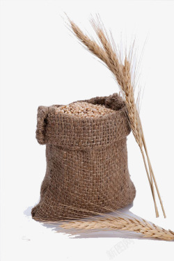 袋子里的麦子饲料袋高清图片