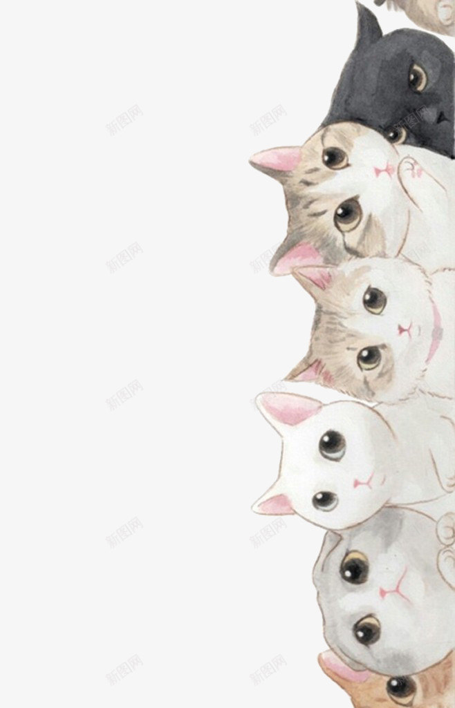 猫咪png免抠素材_新图网 https://ixintu.com 动物 卡通 宠物 排排坐