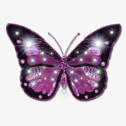 紫色亮眼的蝴蝶素材