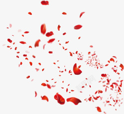 创意合成质感红色的花瓣造型素材