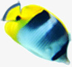 矢量条纹鱼类条纹可爱热带鱼海洋鱼类高清图片