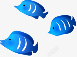 蓝色热带鱼插图素材